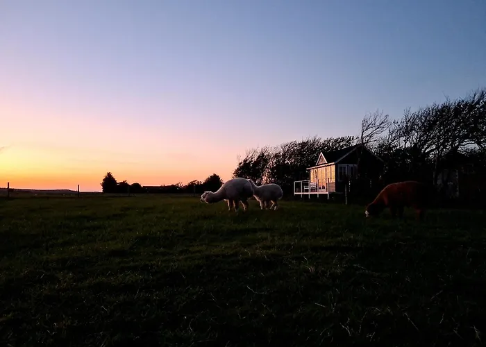 Peaceful Place - Alpaca-Cottage For 2, Beautiful View